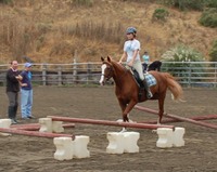 DSC 0030